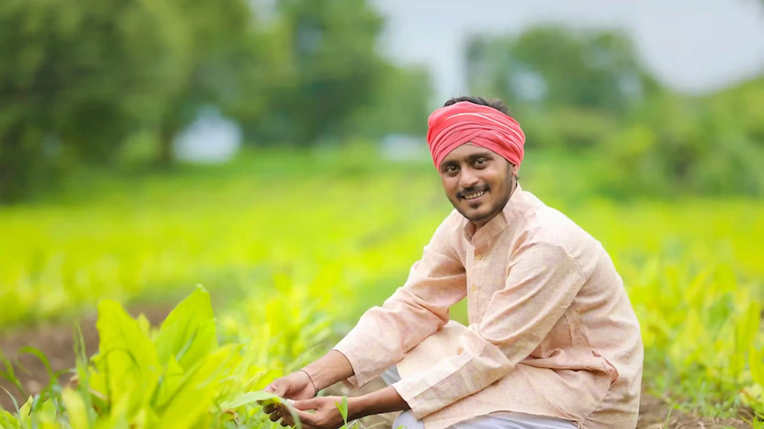 PM kisan Status