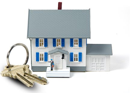 Real Estate Agent